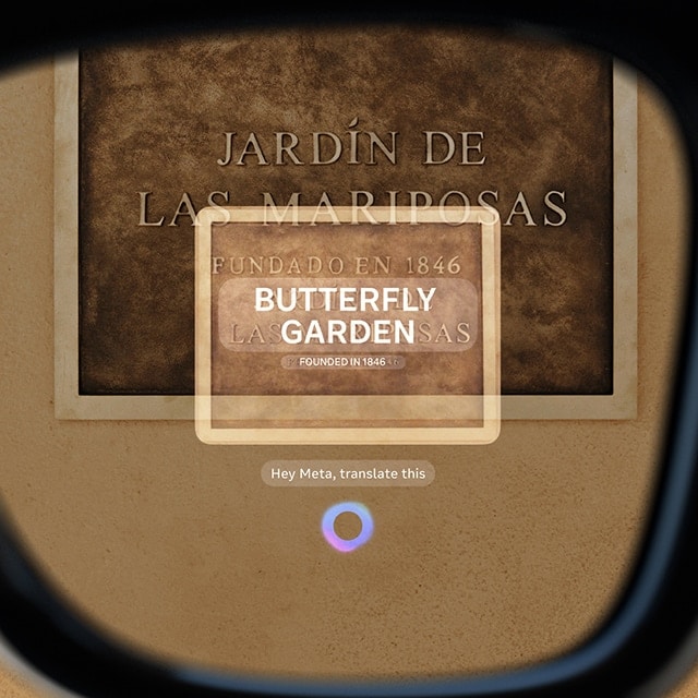 live translated text