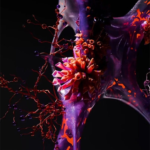 Impossible Frames artwork