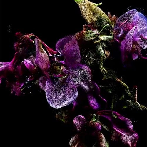 Impossible Frames artwork