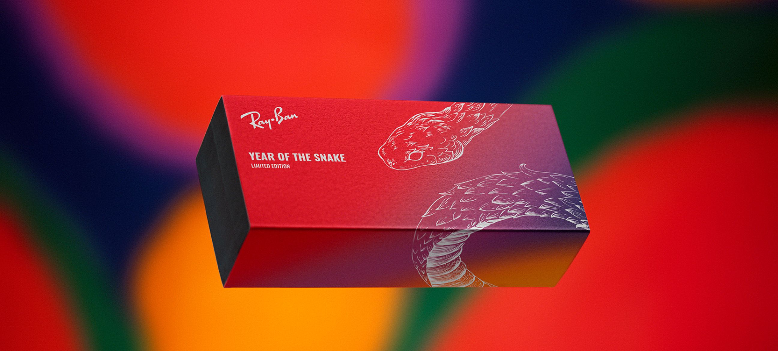 RB4423D YEAR OF THE SNAKE EDITION Sunglasses in Black and Grey