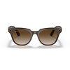 RAY-BAN STORIES | METEOR