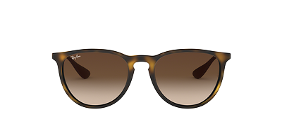 Erika Classic Sunglasses in Havana and Brown | Ray-Ban®