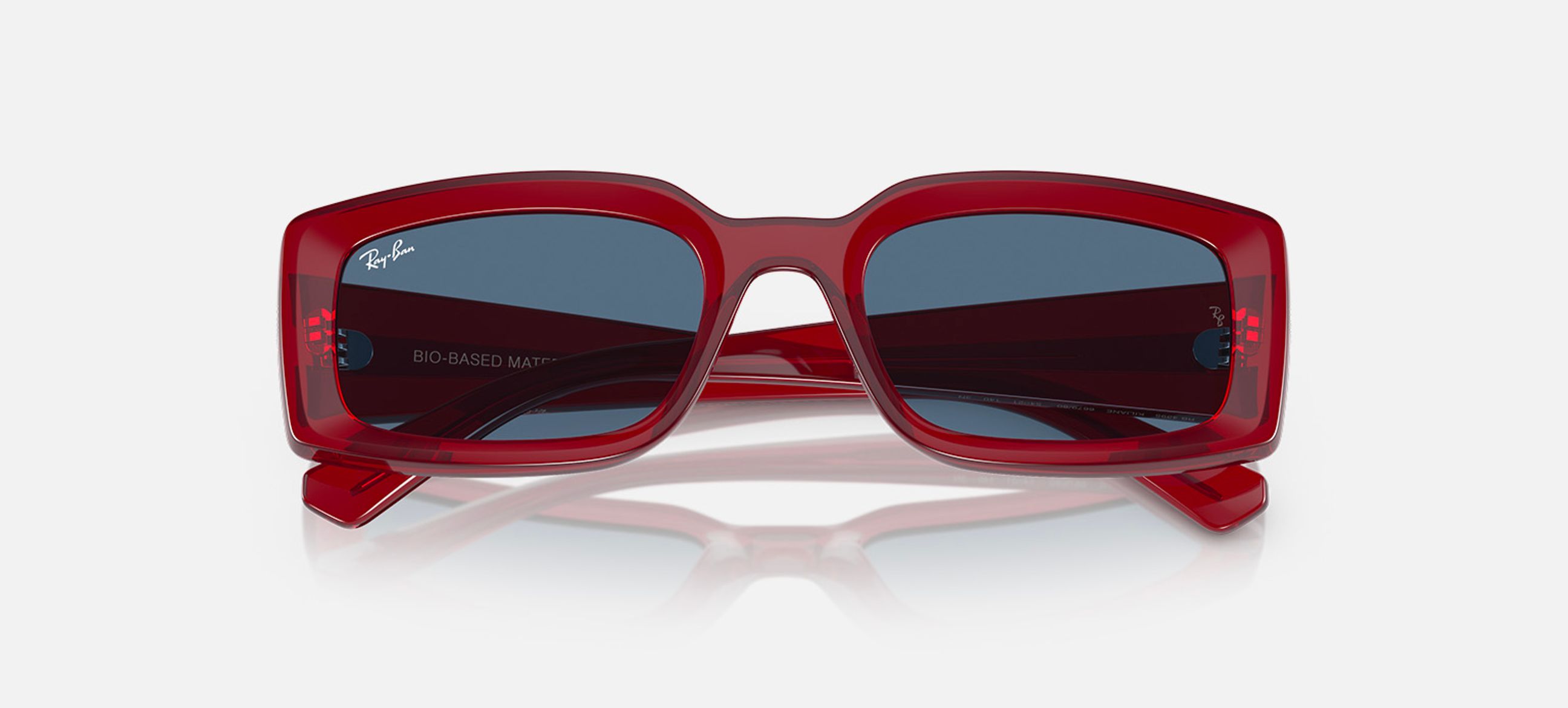 Special Edition Sunglasses | Ray-Ban® JP